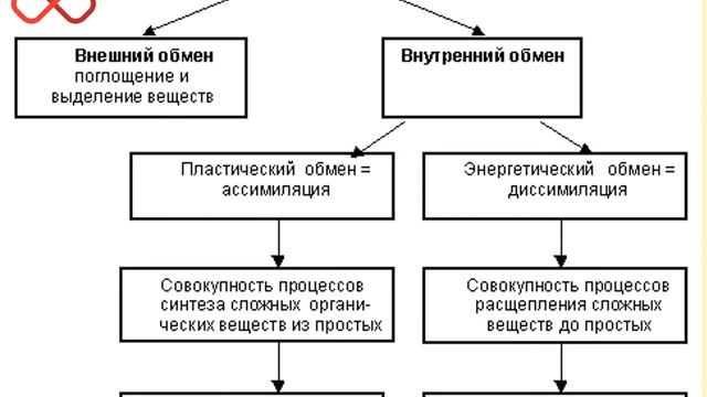 Биология как наука, её достижения, методы познания живой природы.