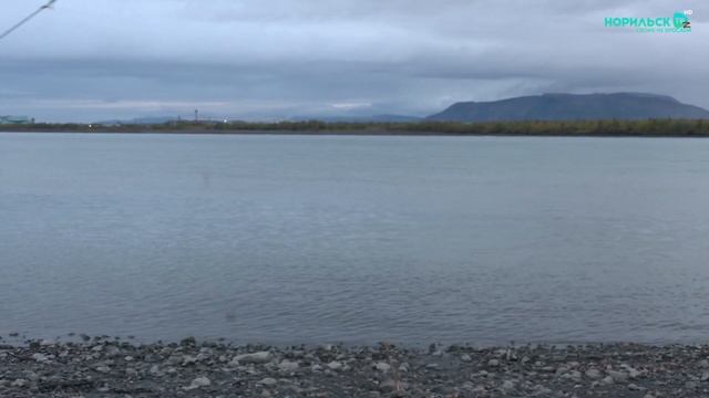 Рыбалка на налима на реке Норильская с Норильск ТВ