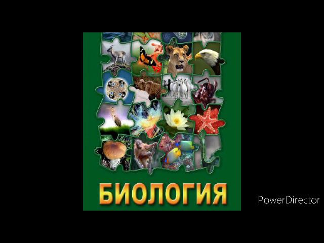 #8 Систематика растений и животных. Биология 7 кл.