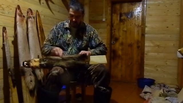 первичная обработка шкурок куницы . часть №2.