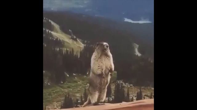 Проблемы с весом покажет натальная карта