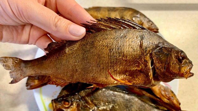 Копчение в квартире! Быстро, Просто и Вкусно! Обзор коптильни ЧУДО КНГ-13