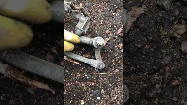 428717851_456239048.mp4