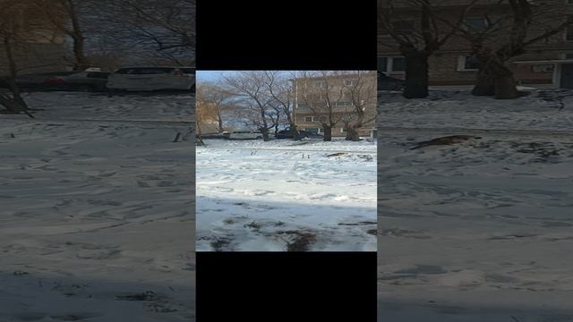 жизнь в дикой природе
