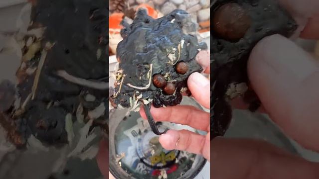 СНИМАЕМ ЗАВИСТЬ, НЕНАВИСТЬ, ХУЛУ ЛЮДСКУЮ 🧚🏼♂️🧌🤐