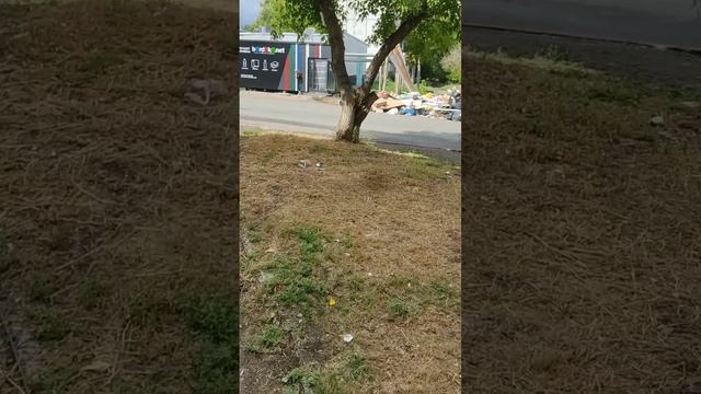 1689885360640.mp4