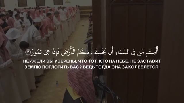 Мухаммад аль Люхайдан | сура аль Мульк