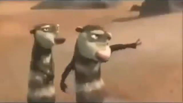 нохчи