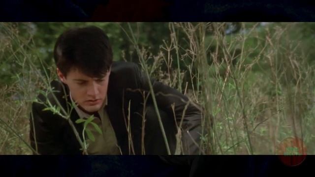 ОБЗОР ФИЛЬМА "СИНИЙ БАРХАТ", 1986 ГОД (Непустое кино)
