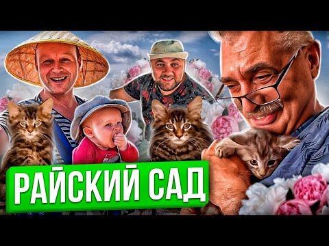 Ты не Поверишь!! Райский Сад Своими Руками!! Мейн-кун Одесса