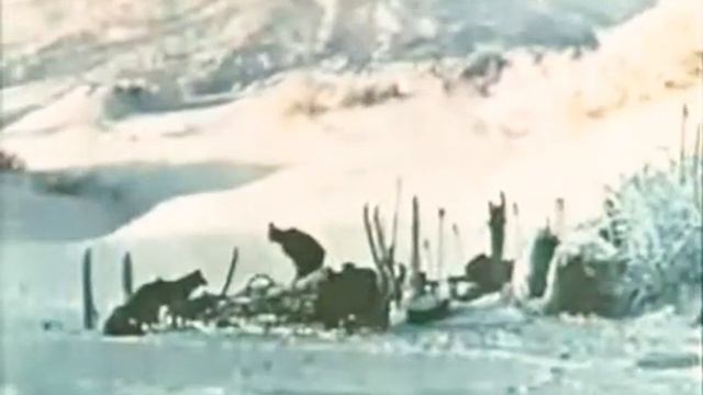 Кола Бельды–мы поедим мы помчимся на оленях