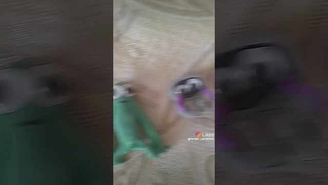 Like_7144644918746804097.mp4
