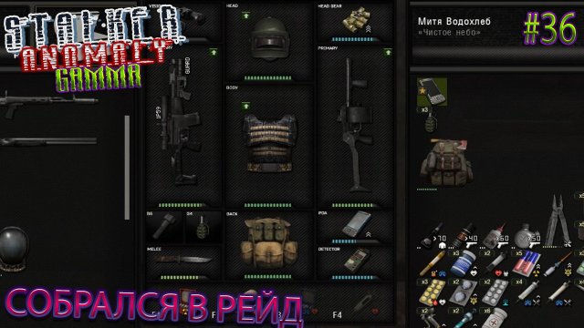 СОБРАЛСЯ В РЕЙД | STALKER ANOMALY GAMMA | Серия 36