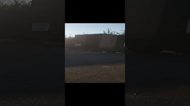 20240819_064954.mp4