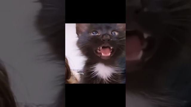 No No No