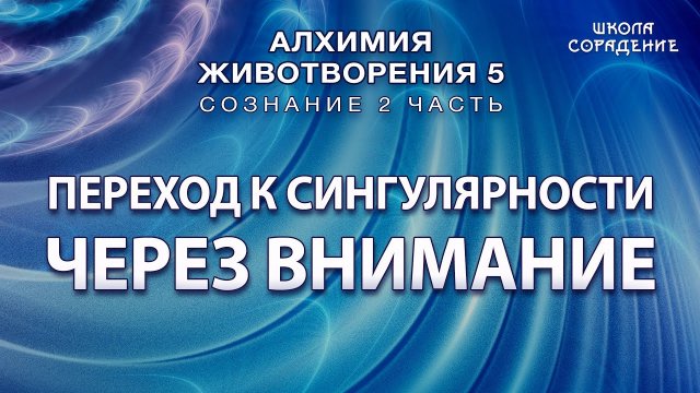 Переход к сингулярности через внимание #Гарат #АЖ5 #Сознание #ЖивыеСеминары #школаСорадение