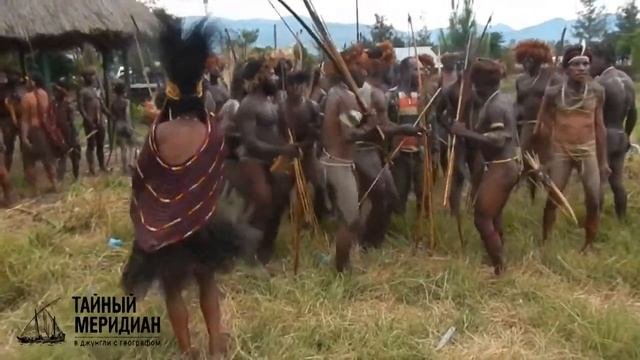 дикие племена