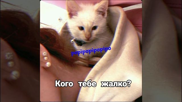 Милс кел