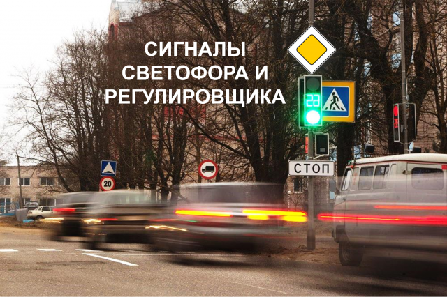 Применение специальных сигналов. Сигналы светофора и регулировщика.
