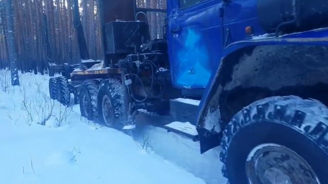 Рабочие моменты. Урал лесовоз .