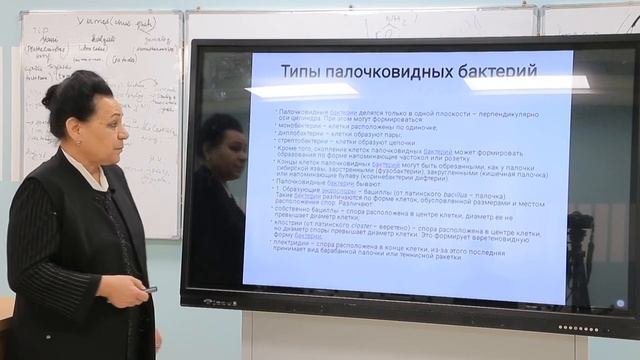 Морфология и структура микроорганизмов