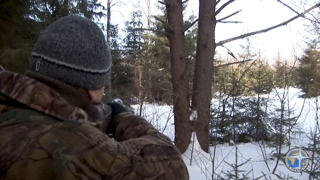 Охота на кабана с лайками (Wild boar hunting with dogs).