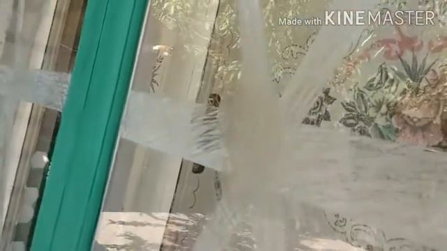 Лучший способ очистить старый скотч со стекла