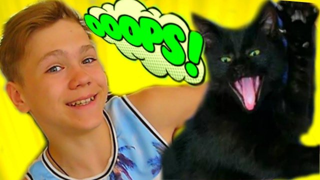 КОШЕЧКУ Никису УКРАЛИ!!!
