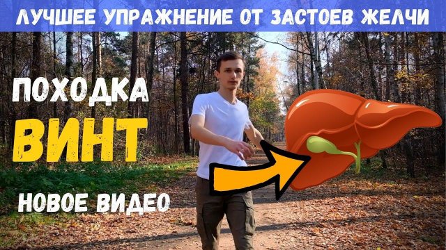 Упражнения от ЗАСТОЕВ ЖЕЛЧИ, ДИСКИНЕЗИИ Походка ВИНТ