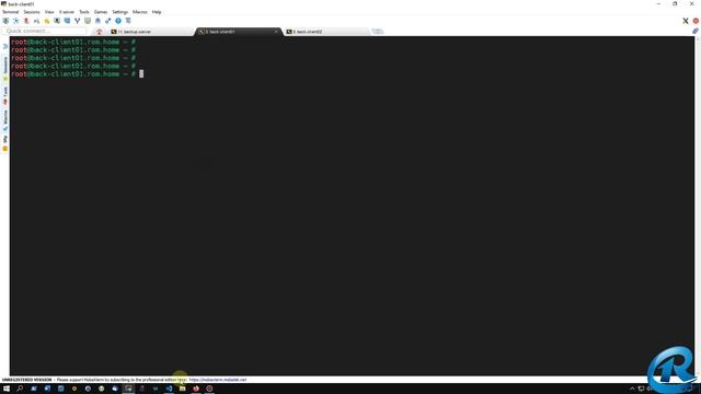 UrBackup. Центральный Бэкап Сервер для Linux и Windows.