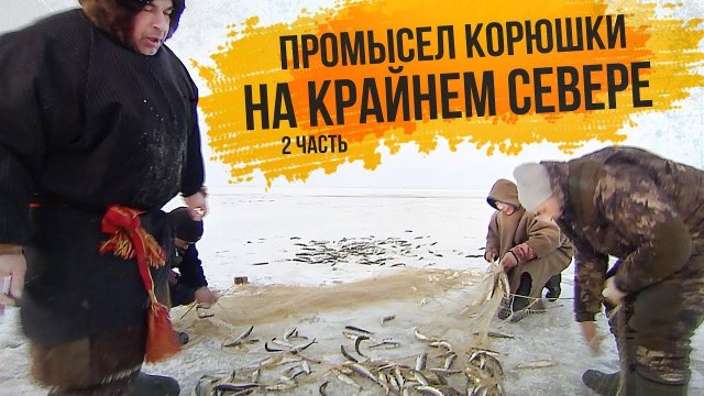 С полем!: «Зимний промысел корюшки на Крайнем Севере». Часть 2