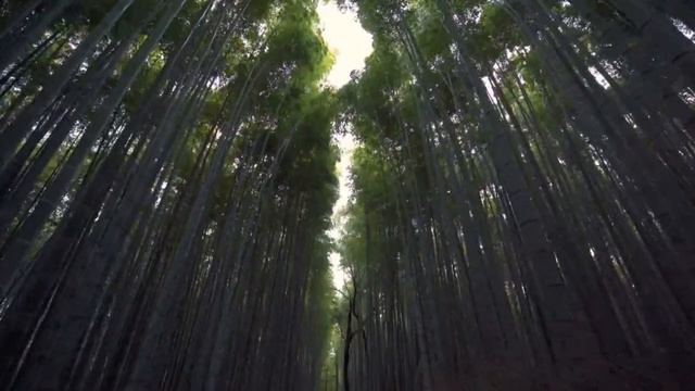 ? Спокойствие ждёт... ?