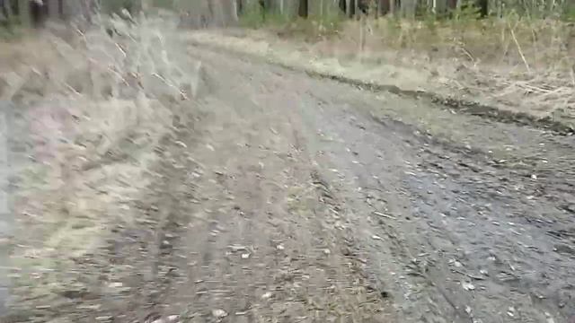 Мотороллер муравей 2. Первый выезд в лес