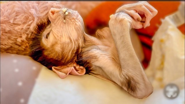 Если не знать ЧТО ЭТО со Степашкой, то можно ужаснуться)))