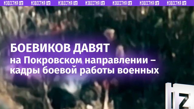 Небесная кара для ВСУ: как живую силу врага уничтожают на Покровском направлении