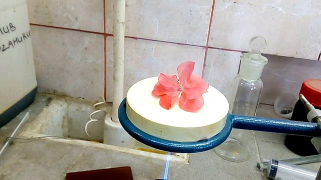 VID_20170926_143539