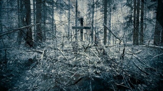 Владимир Высоцкий ( Что за дом притих , погружен во мрак )