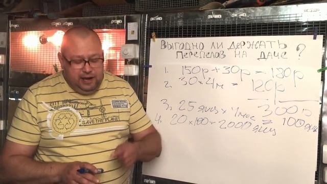 Перепела на даче. Выгодно ли? МОИ перепела