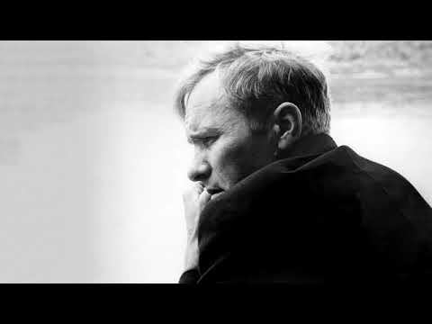 В М Шукшин   Два письма