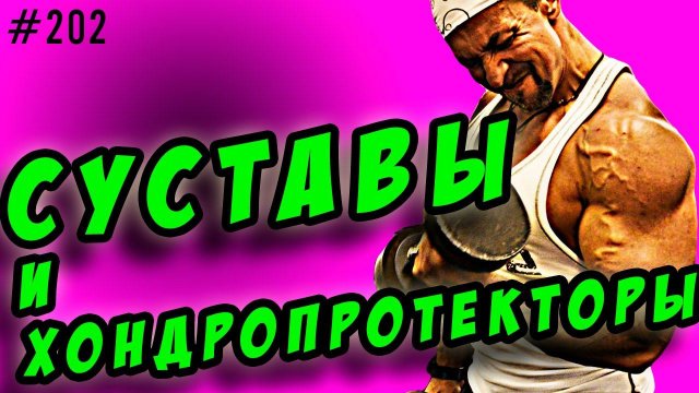 хондроитин, глюкозамин msm | суставы и хондропротекторы  отзывы