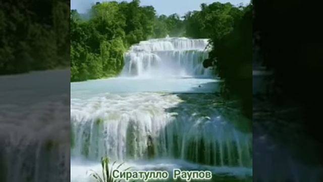 100-раз сура Ихлас, Ихлос сураси-100-марта Сиратулло Раупов