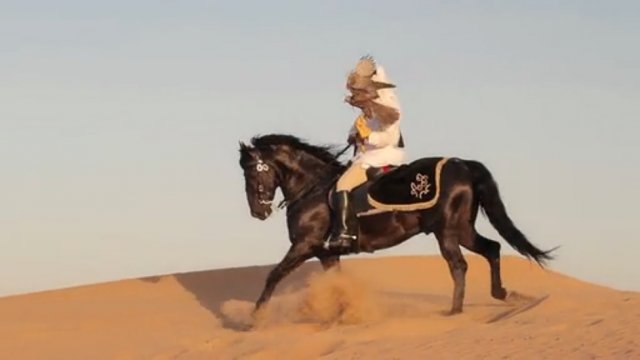 UAE: Ajman Stud Timelapse/Hyperlapse