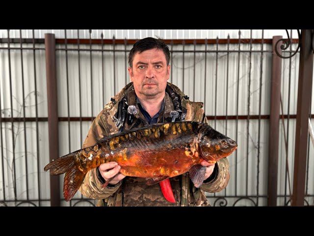 Мои ножи для разделки рыбы