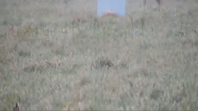 Стрельба с мр-27, 3 литра на 100 метров
