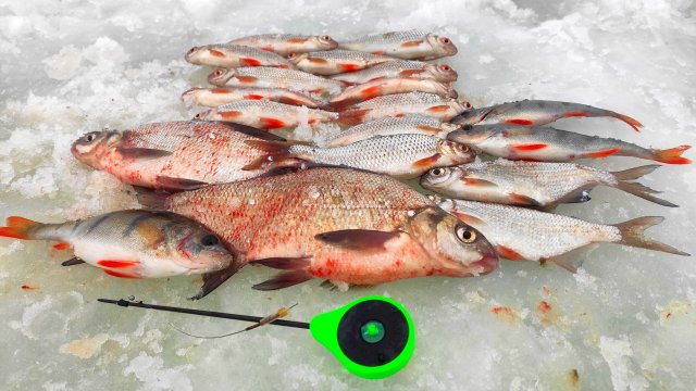 ВСЯ РЫБА ПОСЛЕ ОБЕДА. МОРМЫШКА и САМОКЛЁВ. Рыбалка на ОЗЕРНЕ в ГЛУХОЗИМЬЕ.