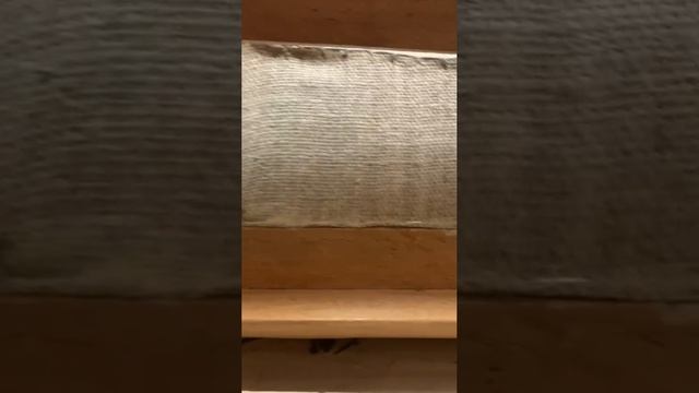video5242700191194167638 (1)