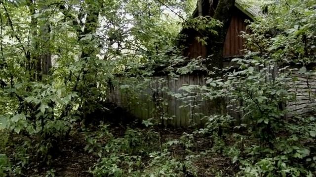 Жизнь_после_людей
