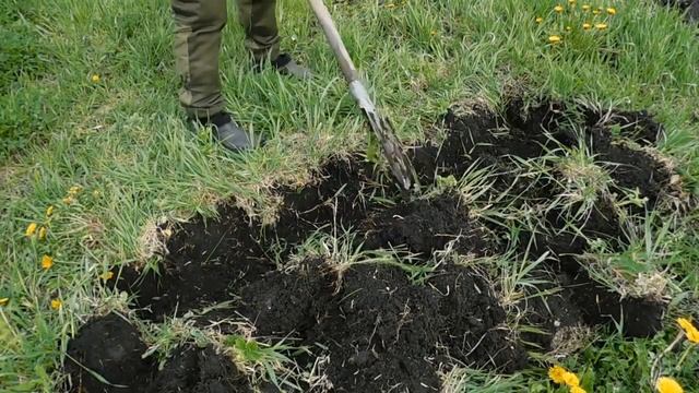 Как правильно копать огород лопатой. Получаем высокий УРОЖАЙ Урожайный огород, урожайная ДАЧА