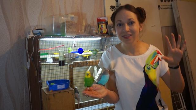 название канала