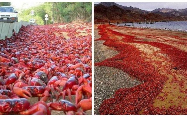 ? Невероятные феномены природы